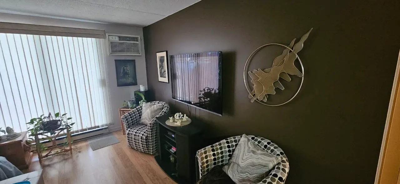 Accent wall after repainting — rich deep charcoal, sharp edges, Windsor condo